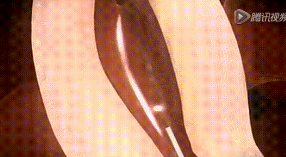 稽留流產后備孕做哪些2019 胎停稽留流產后生男寶經驗 稽留流產后備孕做哪些2019 胎停稽留流產后生男寶經驗