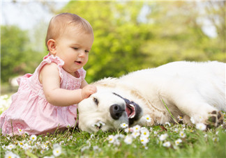 怎樣給孩子斷夜奶最好2018 孩子斷夜奶的好方法 怎樣給孩子斷夜奶最好2018 孩子斷夜奶的好方法