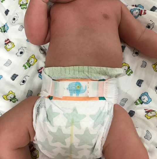 幫寶適紫幫雀氏花王哪個好 日本紫幫和日本花王對比測評 幫寶適紫幫雀氏花王哪個好 日本紫幫和日本花王對比測評