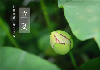 立夏節風俗吃什么 立夏吃什么傳統食物2018