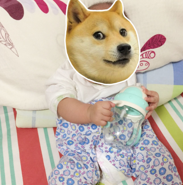 好伊貝寶寶學飲杯怎么樣 好伊貝寶寶學飲杯測評