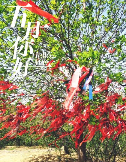 夏天到了的說說朋友圈 關于夏天的說說唯美句子