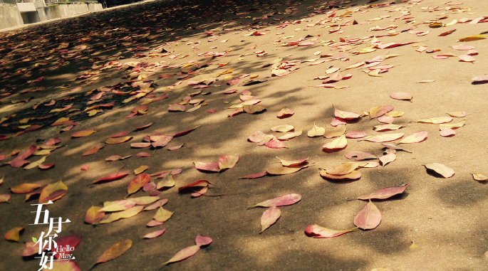 夏天快來了說說 關(guān)于夏天來了的說說朋友圈感慨2018 夏天快來了說說 關(guān)于夏天來了的說說朋友圈感慨2018