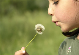 春夏寶寶出門就過敏怎么回事 寶寶對(duì)空氣過敏如何預(yù)防