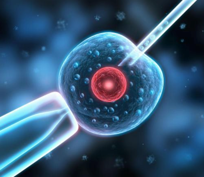 試管嬰兒取卵時很痛嗎 試管嬰兒取卵很痛能不能打麻醉藥