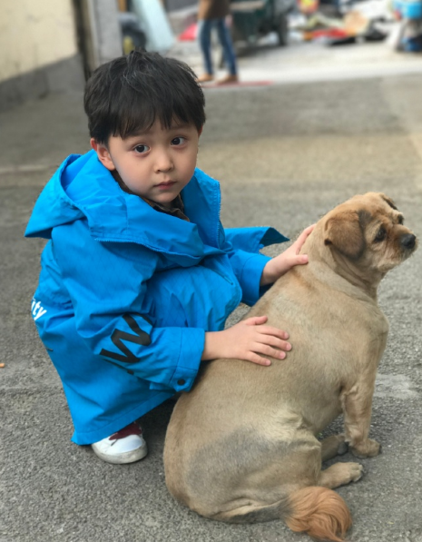 媽媽是超人大麟子外公求生欲 尊重女性熱愛家庭團結高于一切 媽媽是超人大麟子外公求生欲 尊重女性熱愛家庭團結高于一切