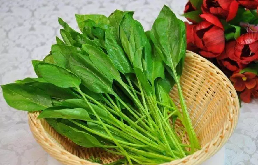 孩子吃什么蔬菜提高免疫力 孩子吃什么蔬菜比較好2018