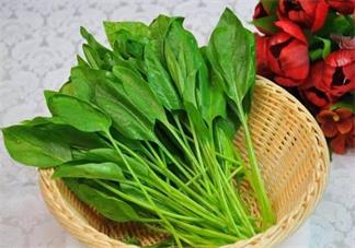 孩子吃什么蔬菜提高免疫力 孩子吃什么蔬菜比較好2018