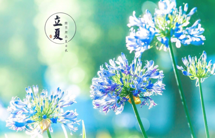 2018立夏快樂的說說朋友圈 立夏快樂早安心語