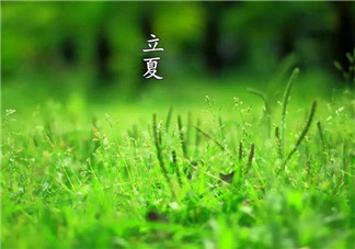 2018立夏快樂的說說朋友圈 立夏快樂早安心語