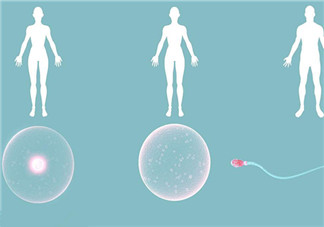 做過宮頸手術能做試管嬰兒嗎 什么時候不能做試管嬰兒 做過宮頸手術能做試管嬰兒嗎 什么時候不能做試管嬰兒