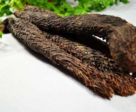 肉蓯蓉發霉還能吃嗎 肉蓯蓉發霉是什么樣子