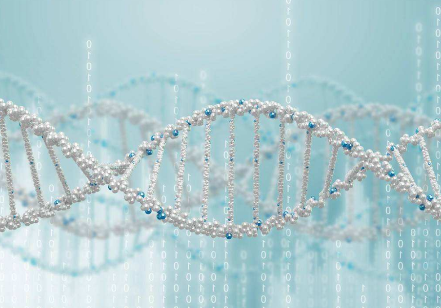 宮頸癌疫苗接種后多久可以做試管嬰兒 宮頸疫苗接種后怎么試管 宮頸癌疫苗接種后多久可以做試管嬰兒 宮頸疫苗接種后怎么試管