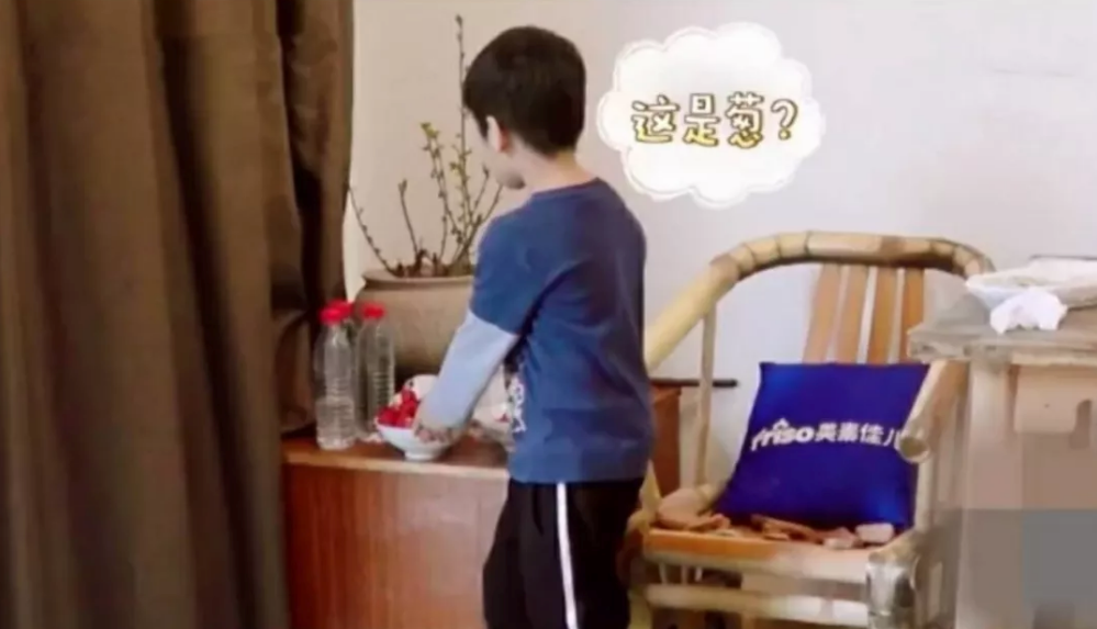 安迪為什么分不清蔥和花 如何教孩子認識農作物