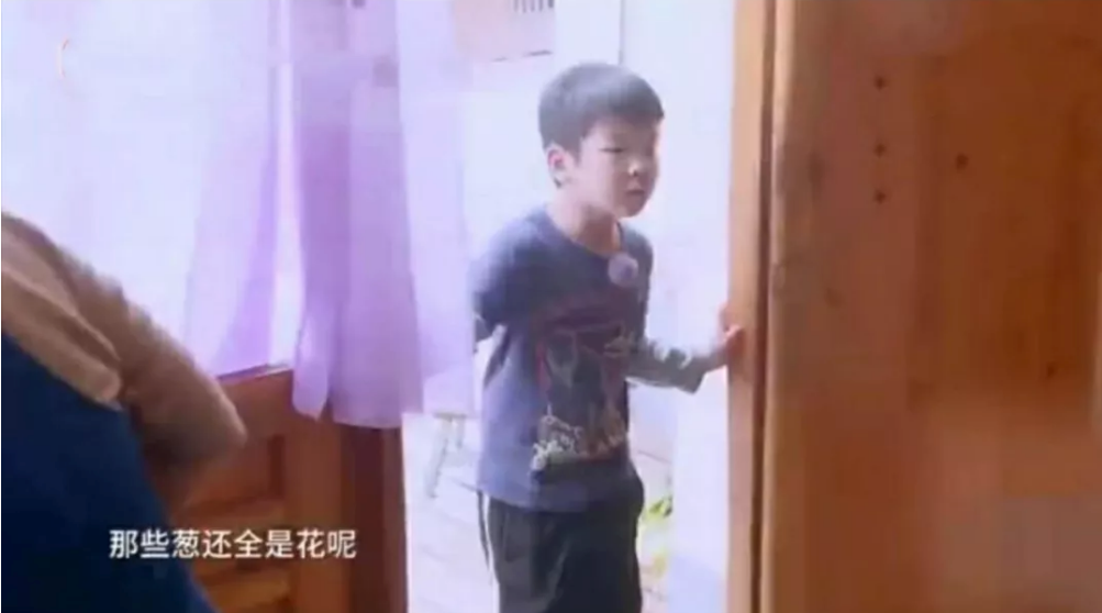 安迪為什么分不清蔥和花 如何教孩子認識農作物