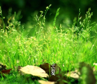 2018立夏微信朋友圈問候語 立夏快樂祝福語說說心情 2018立夏微信朋友圈問候語 立夏快樂祝福語說說心情