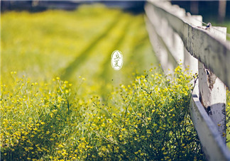 2018立夏微信朋友圈問候語 立夏快樂祝福語說說心情