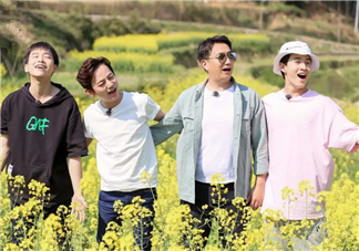 何炅在哪里給謝娜買土雞蛋 怎么區(qū)分土雞蛋和洋雞蛋