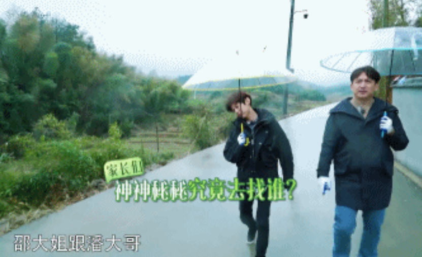 何炅在哪里給謝娜買土雞蛋 怎么區(qū)分土雞蛋和洋雞蛋