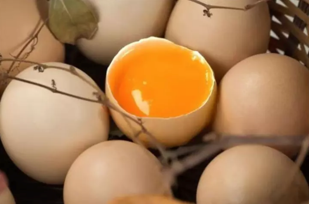 何炅在哪里給謝娜買土雞蛋 怎么區(qū)分土雞蛋和洋雞蛋