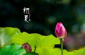 你好夏天早安心語 2018春天再見夏天你好朋友圈曬圖說說 你好夏天早安心語 2018春天再見夏天你好朋友圈曬圖說說