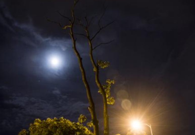 夏天晚上心情說說2018 有關夏天晚上發(fā)朋友圈句子 夏天晚上心情說說2018 有關夏天晚上發(fā)朋友圈句子