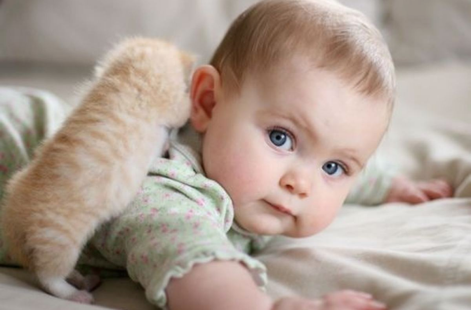 一歲前寶寶每個(gè)月變化有哪些 寶寶每個(gè)月的成長(zhǎng)過(guò)程是什么樣的