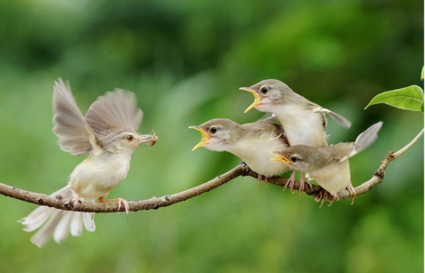 贊美母親的配圖句子說說 2018母親節夸贊母親的心情說說短語 贊美母親的配圖句子說說 2018母親節夸贊母親的心情說說短語