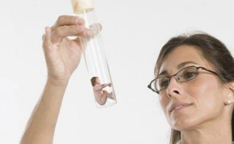 輸卵管積水對(duì)試管嬰兒有影響嗎 輸卵管積水做試管嬰兒會(huì)流產(chǎn)嗎