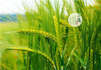 2018年小滿是幾點幾分 24節氣小滿是什么意思