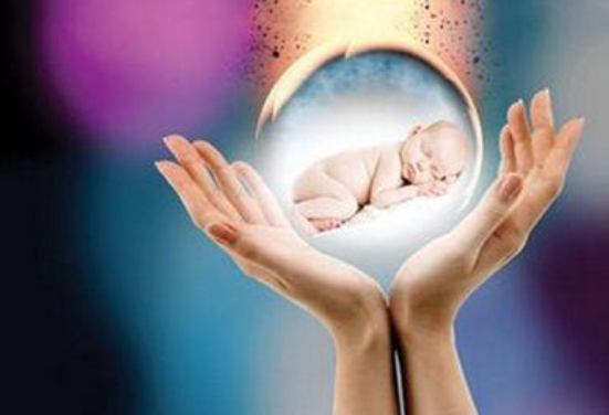 卵巢位置不好怎么取卵2018 為什么每個人排卵數量不一樣 卵巢位置不好怎么取卵2018 為什么每個人排卵數量不一樣