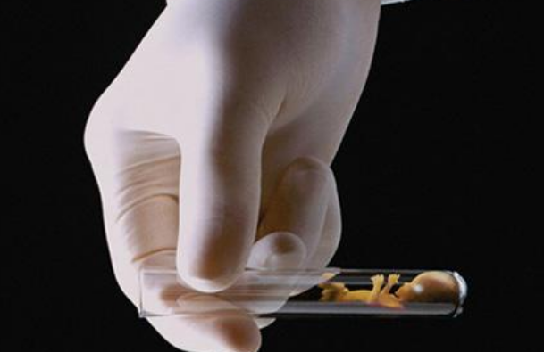 做試管嬰兒要準(zhǔn)備哪些材料2018 做試管嬰兒要準(zhǔn)備哪些證件 做試管嬰兒要準(zhǔn)備哪些材料2018 做試管嬰兒要準(zhǔn)備哪些證件