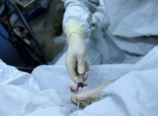 做試管嬰兒胚胎移植后可以上班嗎2018 胚胎移植后需要長時間臥床嗎 做試管嬰兒胚胎移植后可以上班嗎2018 胚胎移植后需要長時間臥床嗎