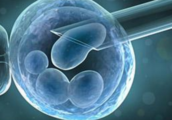試管嬰兒取卵能有性生活嗎2018 試管嬰兒促排卵過程中可以性生活嗎