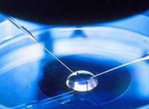 睪丸穿刺取精有多疼2018 試管嬰兒睪丸穿刺取精有危險嗎