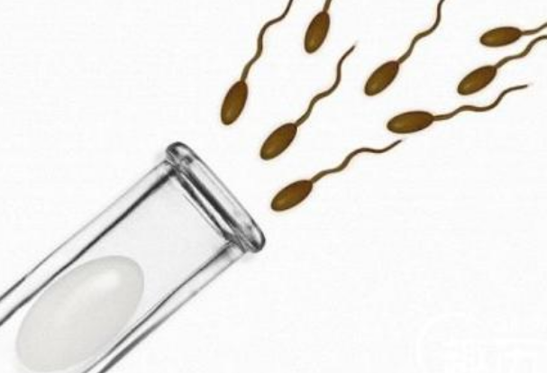 睪丸穿刺取精有多疼2018 試管嬰兒睪丸穿刺取精有危險嗎