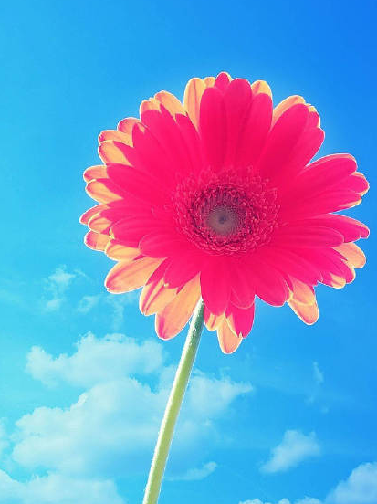 2018年小滿是幾點幾分 24節(jié)氣小滿是什么意思