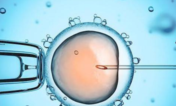 試管嬰兒促排要打多少天針2018 促排打針后什么時候能取卵