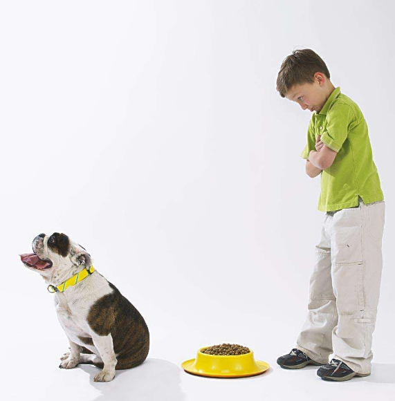 孩子不懂得心疼人怎么辦 孩子不體諒人怎么教2018 孩子不懂得心疼人怎么辦 孩子不體諒人怎么教2018