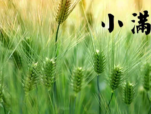 小滿節(jié)氣吃什么好 小滿吃什么傳統(tǒng)食物2018