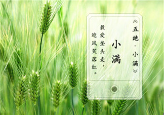 小滿節(jié)氣的含義是什么 怎么給孩子講小滿節(jié)氣的由來