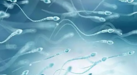 無精癥可以做試管嬰兒嗎2018 無精癥做試管嬰兒方案 無精癥可以做試管嬰兒嗎2018 無精癥做試管嬰兒方案