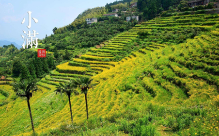 2018小滿節(jié)氣帶圖早安心語 小滿唯美配圖早安心情說說 2018小滿節(jié)氣帶圖早安心語 小滿唯美配圖早安心情說說