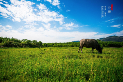 2018小滿節(jié)氣帶圖早安心語 小滿唯美配圖早安心情說說 2018小滿節(jié)氣帶圖早安心語 小滿唯美配圖早安心情說說