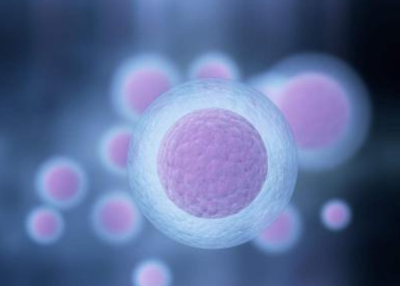 取卵失敗幾率大嗎2018 取卵失敗是怎么回事 取卵失敗幾率大嗎2018 取卵失敗是怎么回事