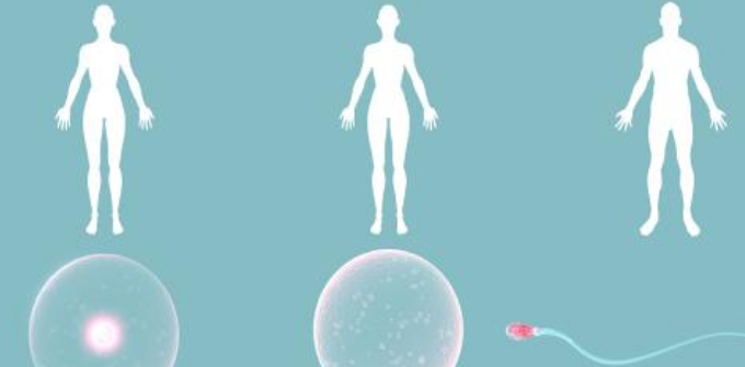 取卵失敗幾率大嗎2018 取卵失敗是怎么回事 取卵失敗幾率大嗎2018 取卵失敗是怎么回事