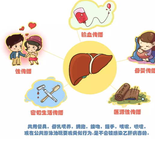 男方乙肝病毒攜帶者能做試管嬰兒嗎 有乙肝病毒做試管嬰兒注意什么 男方乙肝病毒攜帶者能做試管嬰兒嗎 有乙肝病毒做試管嬰兒注意什么