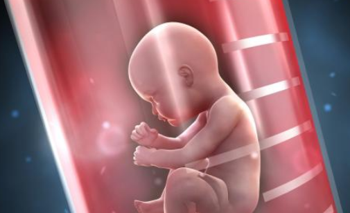 男方乙肝病毒攜帶者能做試管嬰兒嗎 有乙肝病毒做試管嬰兒注意什么 男方乙肝病毒攜帶者能做試管嬰兒嗎 有乙肝病毒做試管嬰兒注意什么