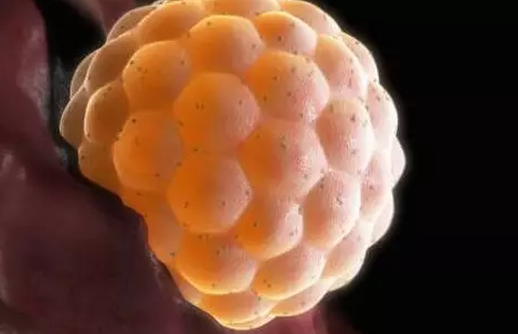 剛開始促排階段能有性生活嗎 試管嬰兒促排這段時間能同房嗎