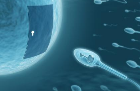 剛開始促排階段能有性生活嗎 試管嬰兒促排這段時間能同房嗎